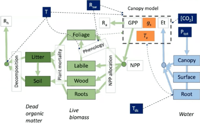 Terrestrial Carbon Community Assimilation System User Training